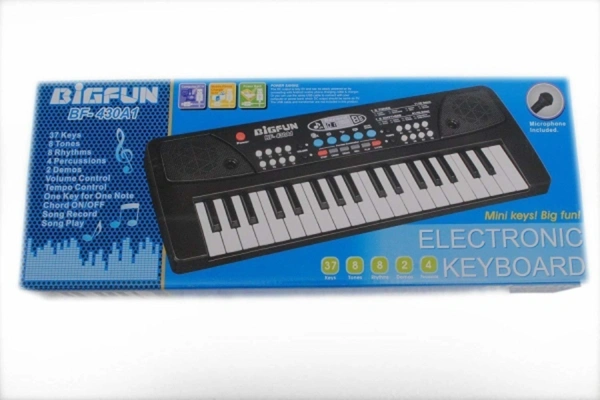 Kids Electronic Musical Keyboard Piano with Mic - Black